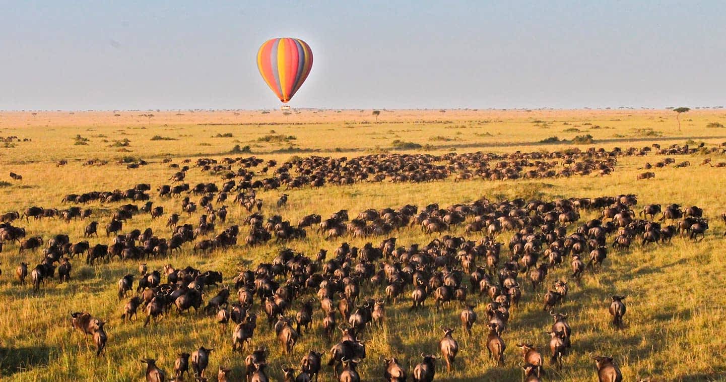 All about Kenya's Maasai Mara National Park.