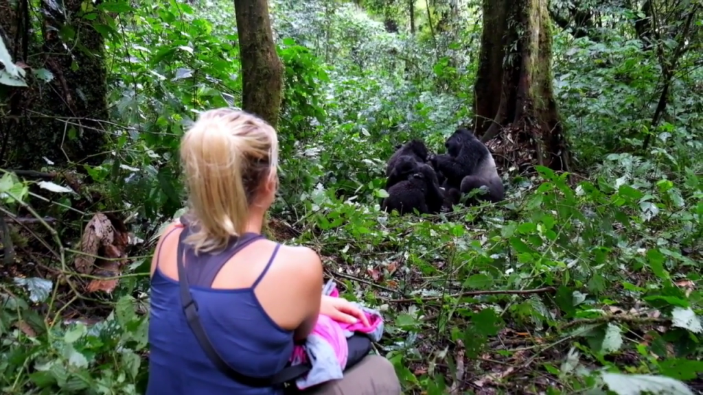 The Best Sector for Gorilla Trekking in Bwindi.