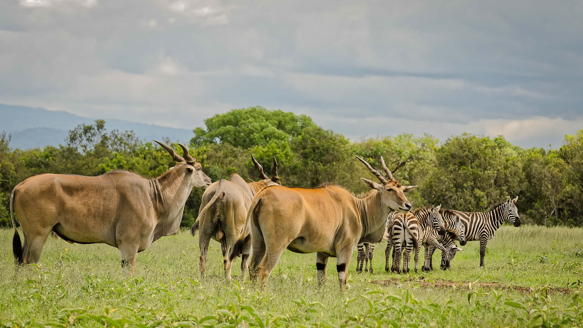 The Best Photography Spots in Kenya’s National Parks