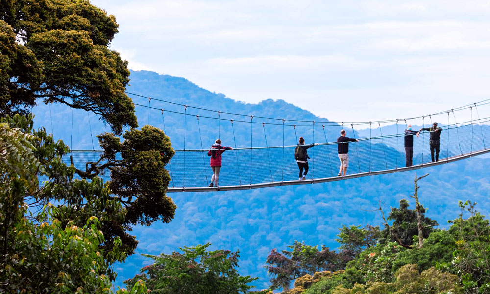 Discovering Rwanda’s National Parks: A Journey into the Heart of Africa.