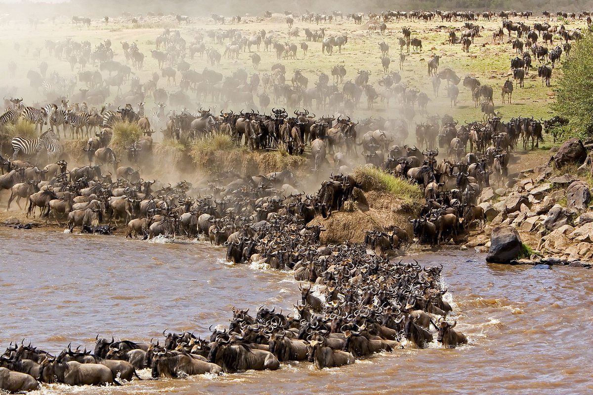 Best Time to Visit Kenya for a Safari in 2025.