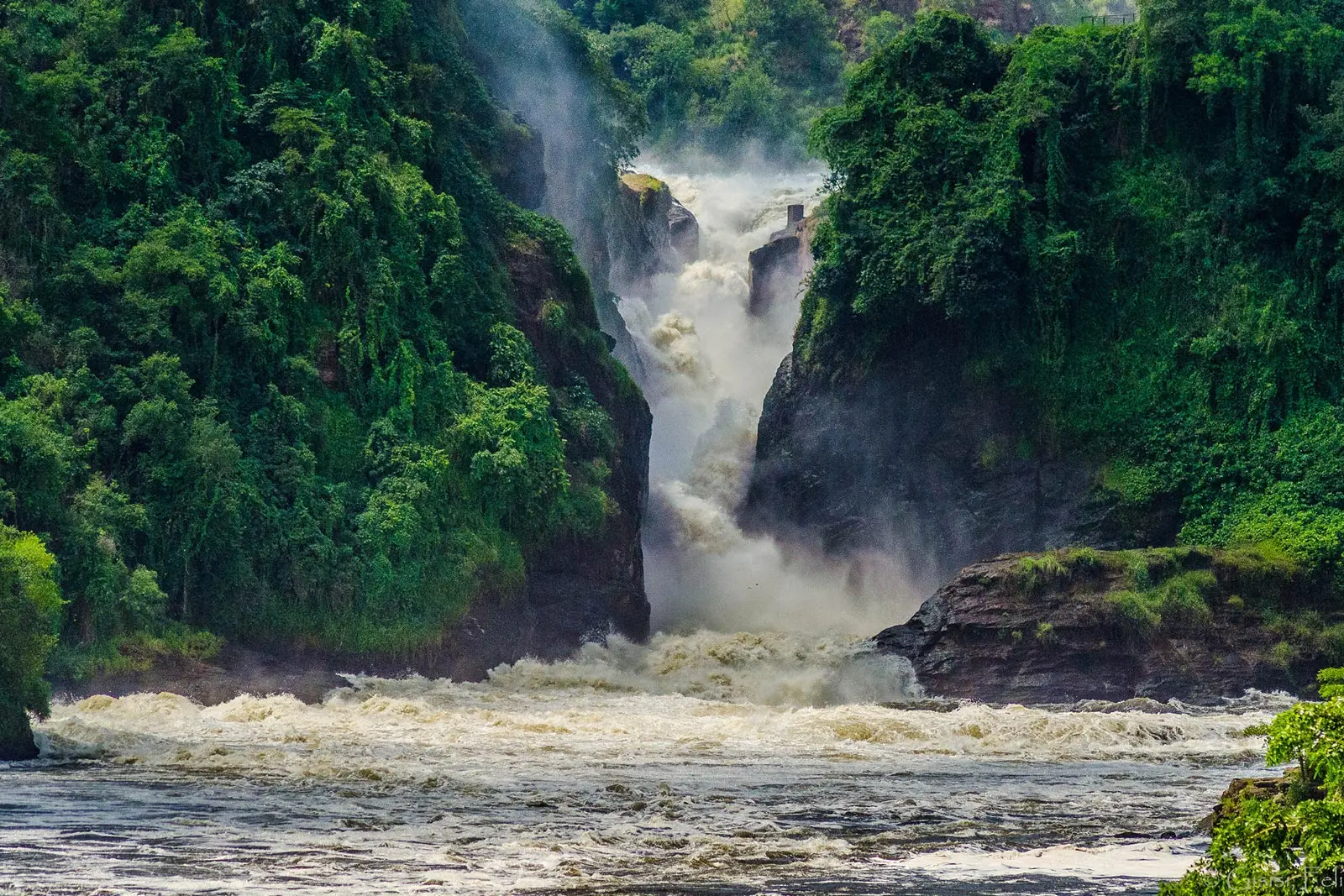 Exploring the Nile River| The Ultimate Boat Cruise in Murchison Falls National Park.