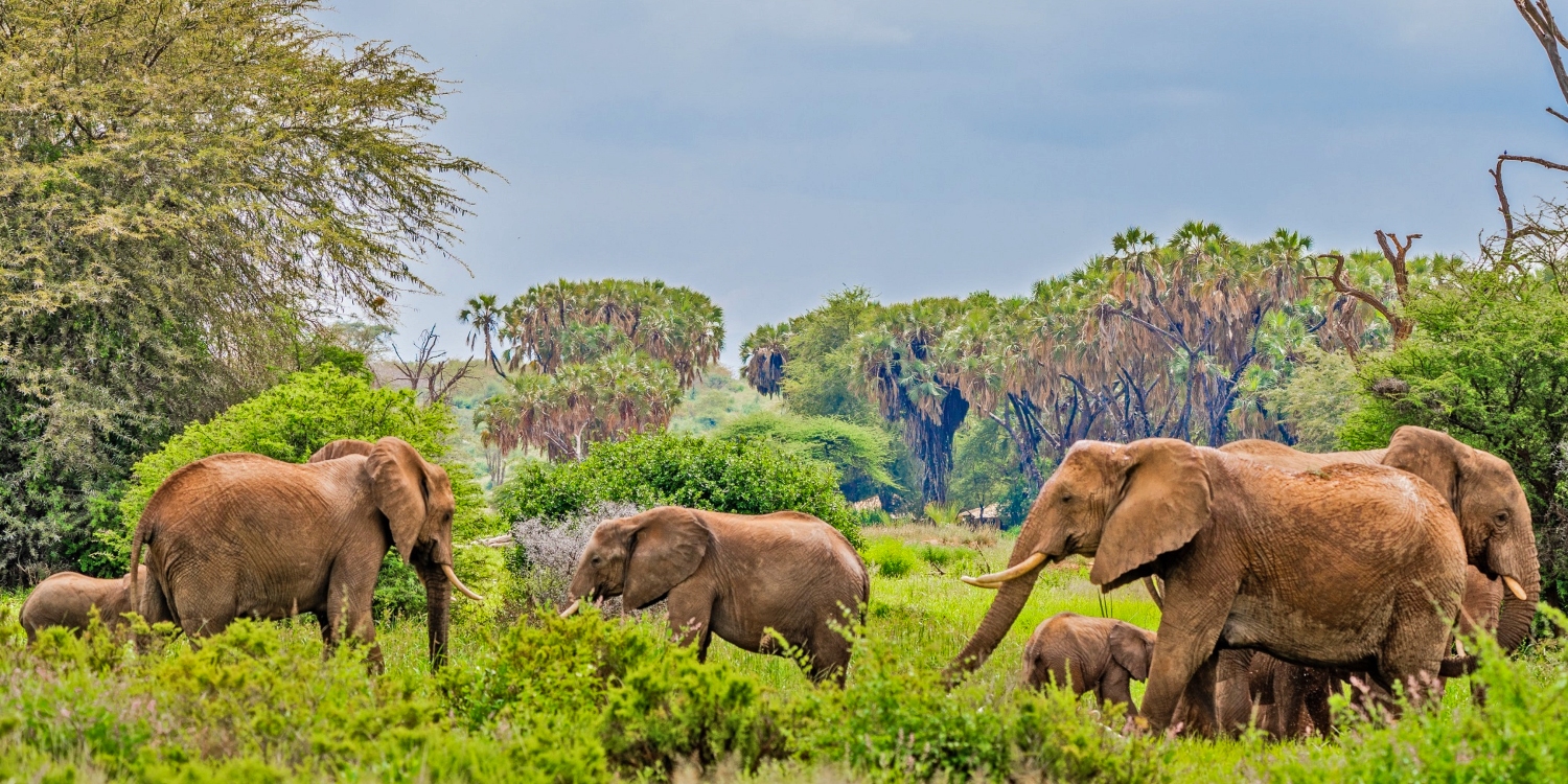 The Best Photography Spots in Kenya’s National Parks.