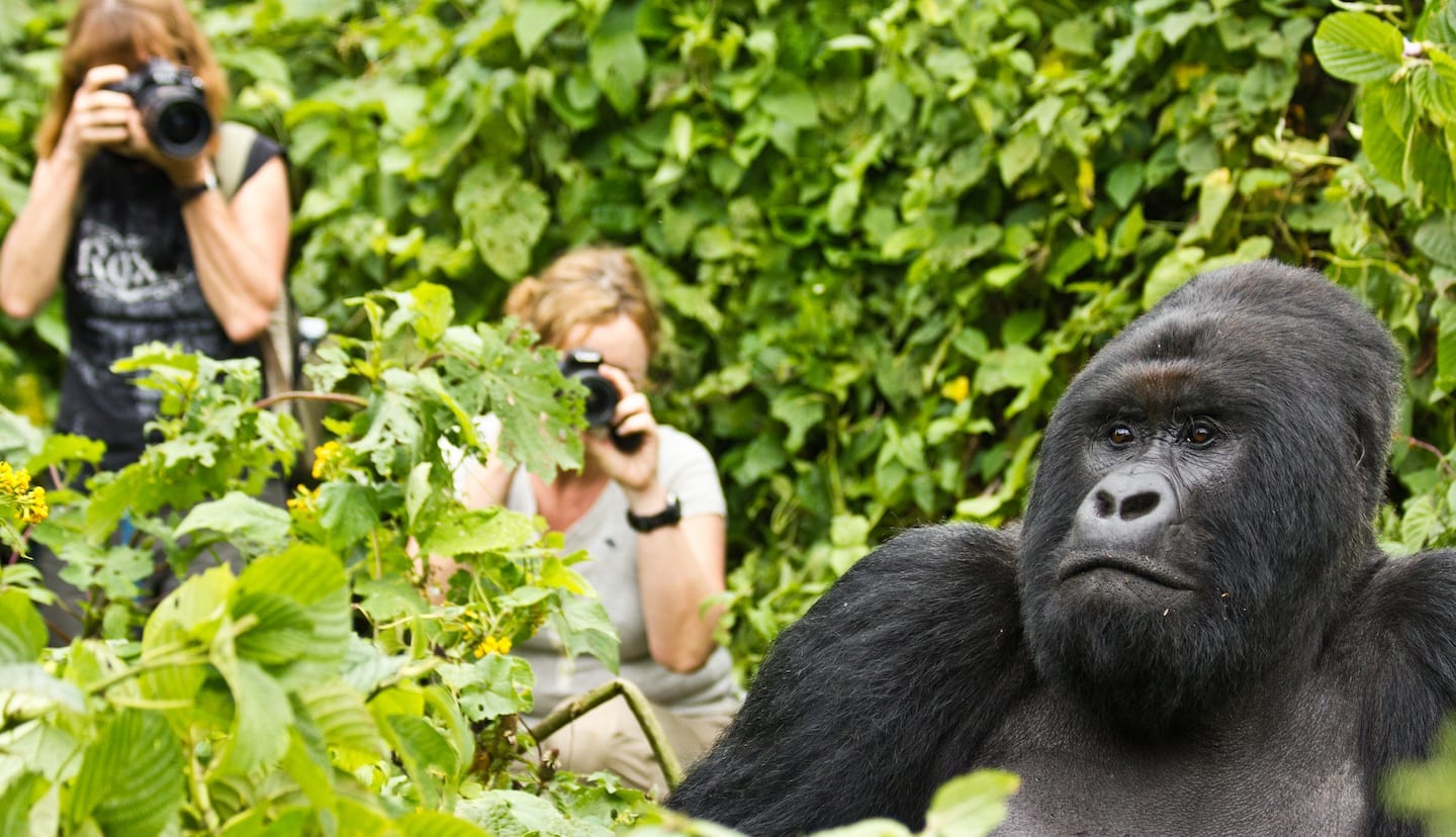 Exploring Uganda’s Wildlife and Community Tourism.