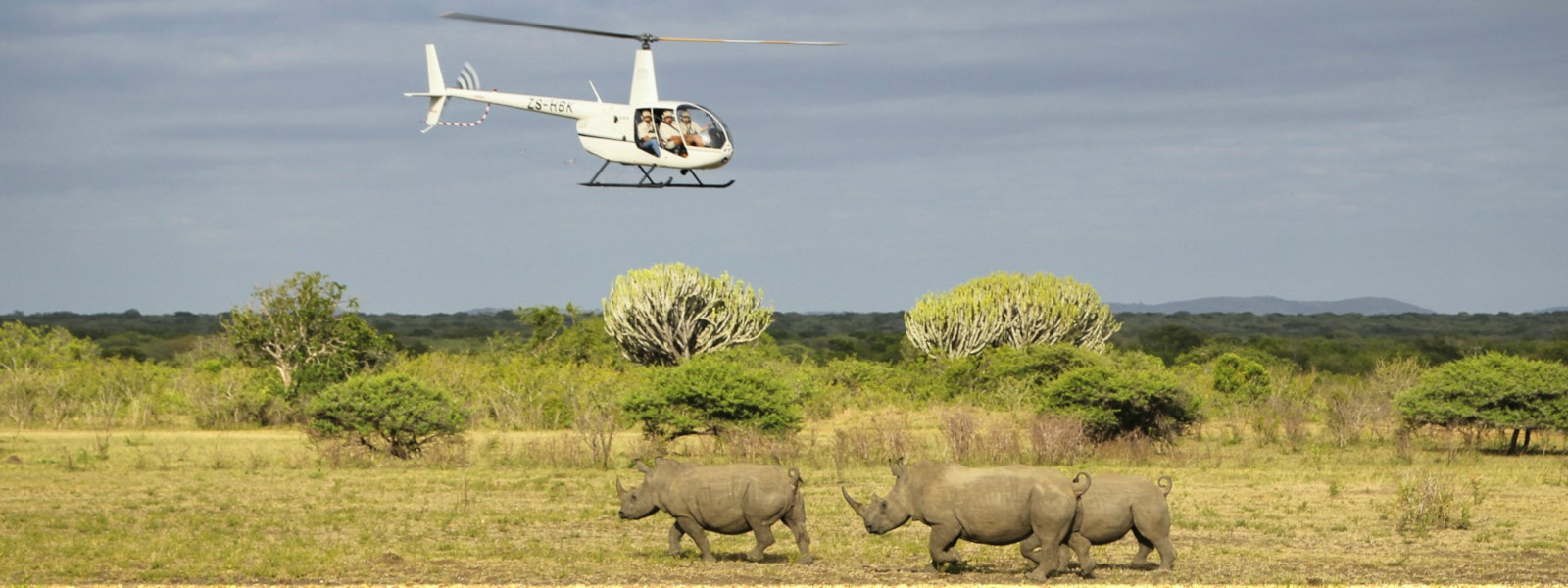 Helicopter Tours in Tanzania: A Unique Safari Experience