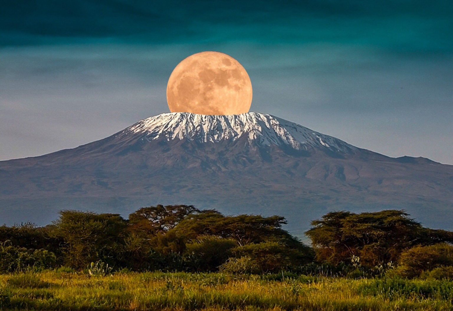 Climbing Mount Kilimanjaro: What You Need to Know for 2025.