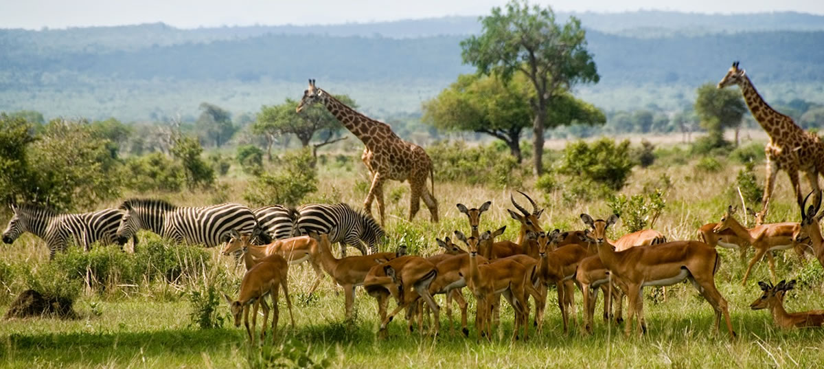 Best Photography Spots in Tanzania’s National Parks.