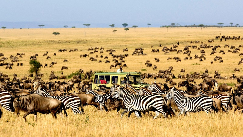 The Best Family Safaris in Tanzania for 2025.