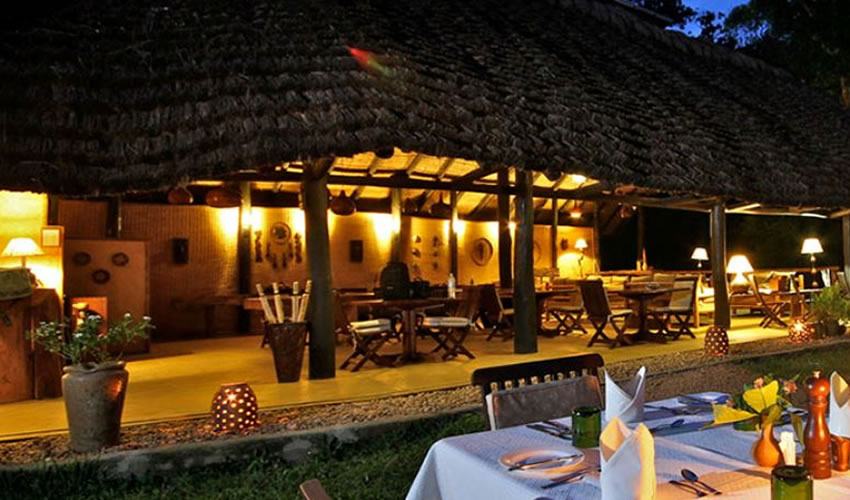 Best Safari Lodges for Seeing Lions in Uganda.