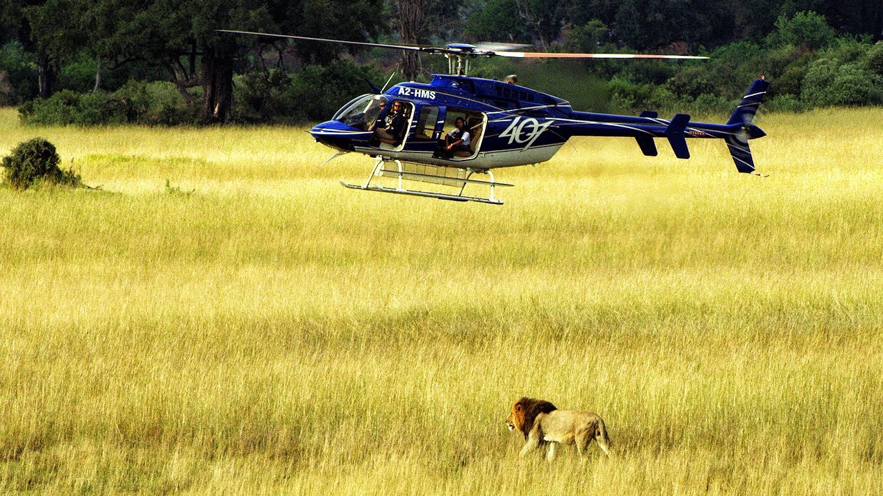 Helicopter Tours in Tanzania: A Unique Safari Experience