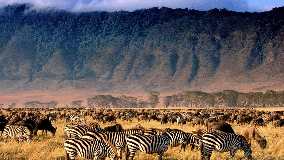 Best Photography Spots in Tanzania’s National Parks.