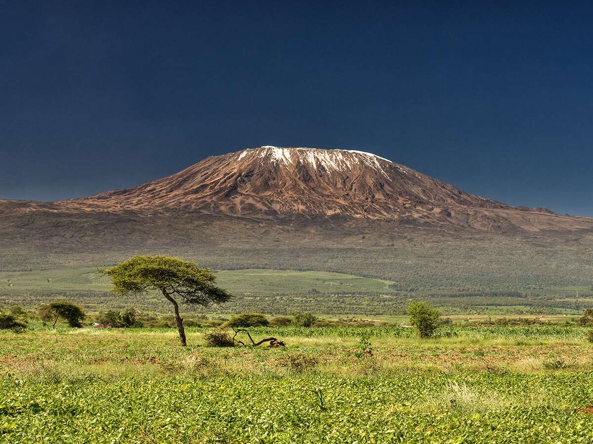 Climbing Mount Kilimanjaro: What You Need to Know for 2025.