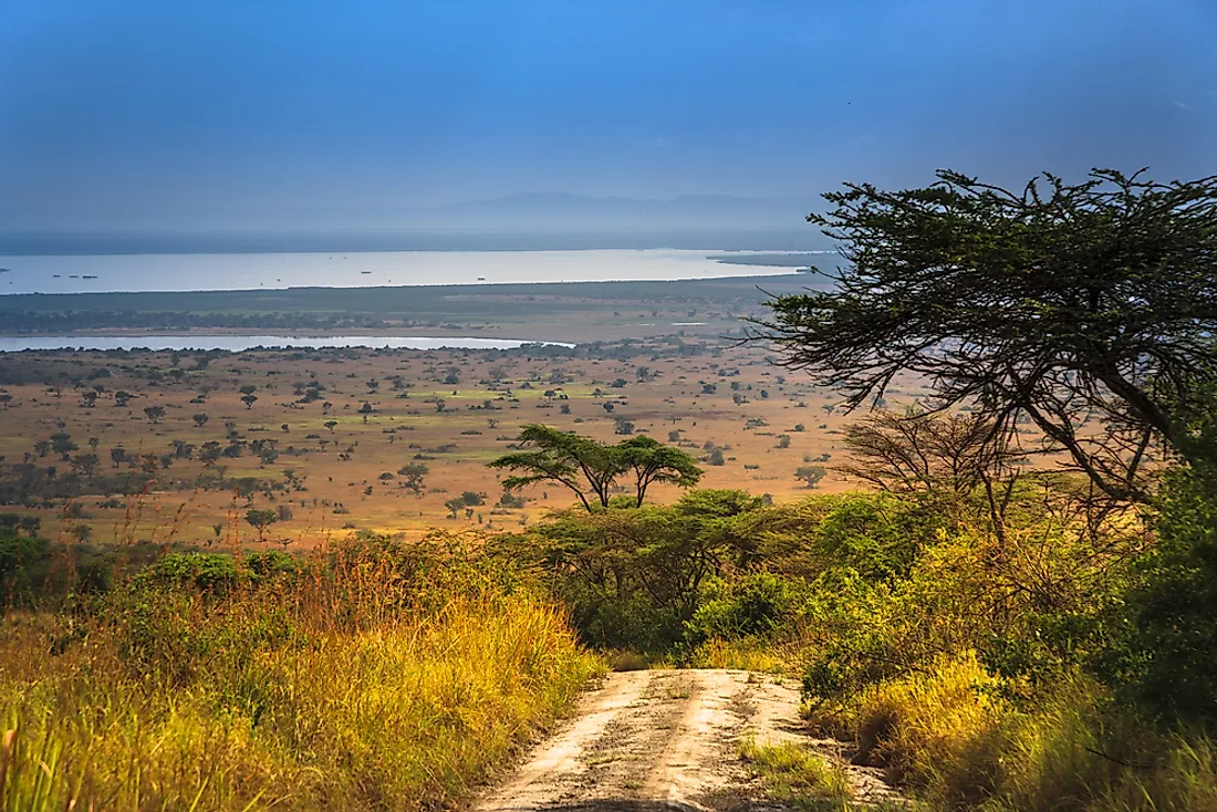 Exploring Uganda's Albertine Rift Valley: A Natural Wonder.